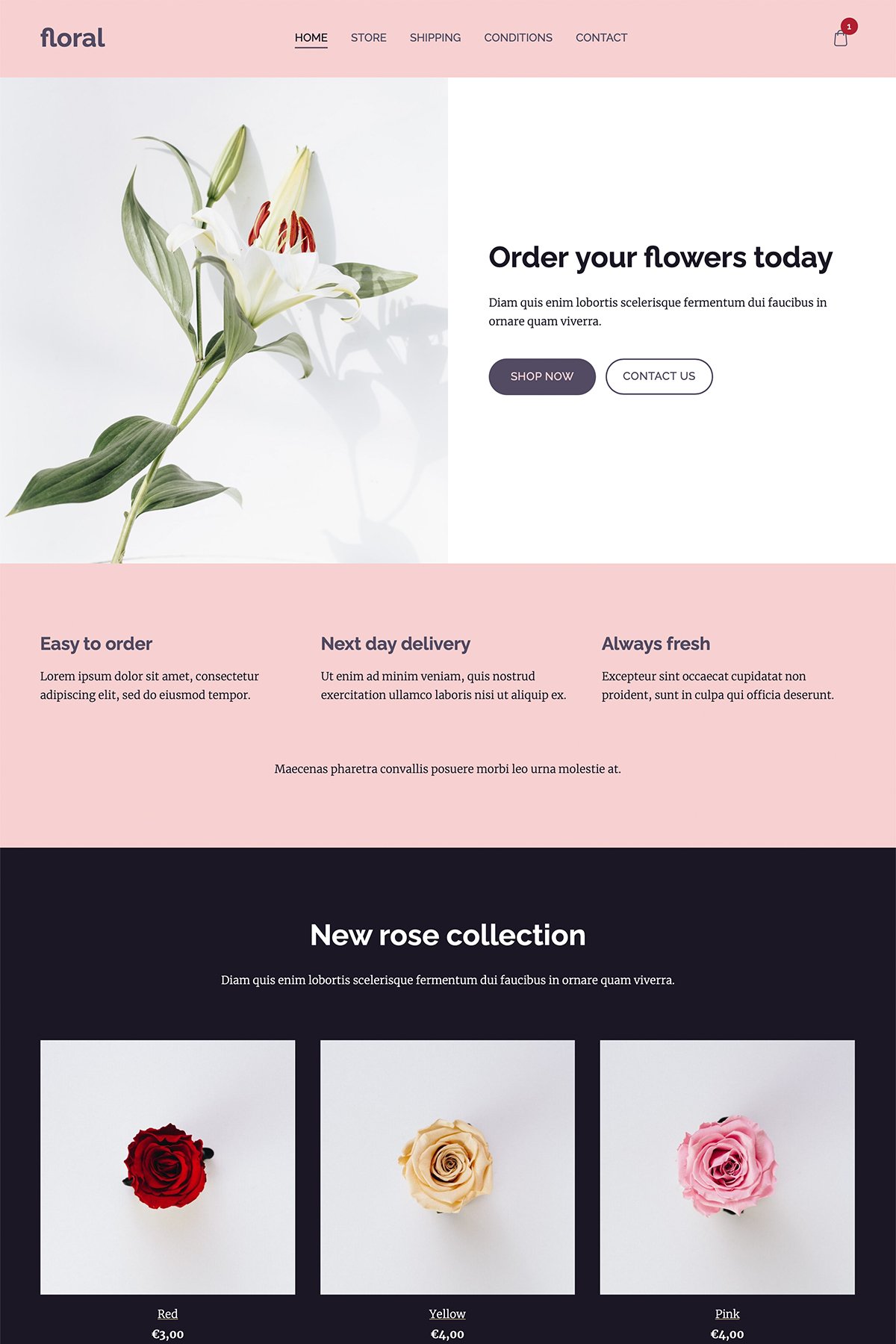 Create a website