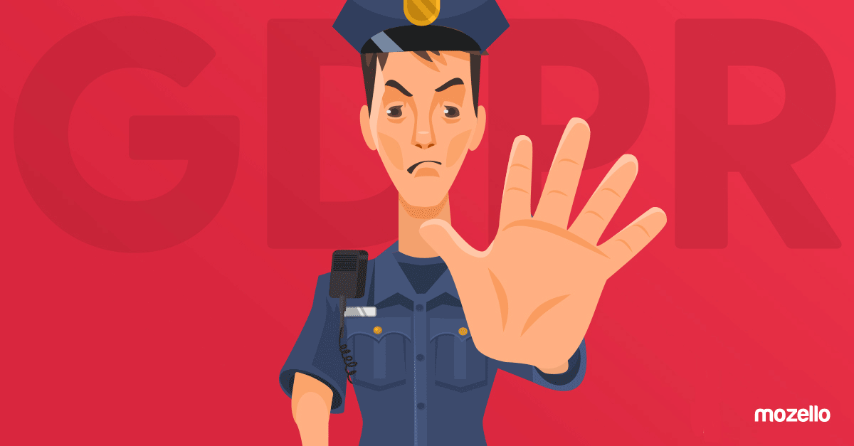 How To Adapt Your Company to the Requirements of the General Data Protection Regulation and Avoid Trouble?